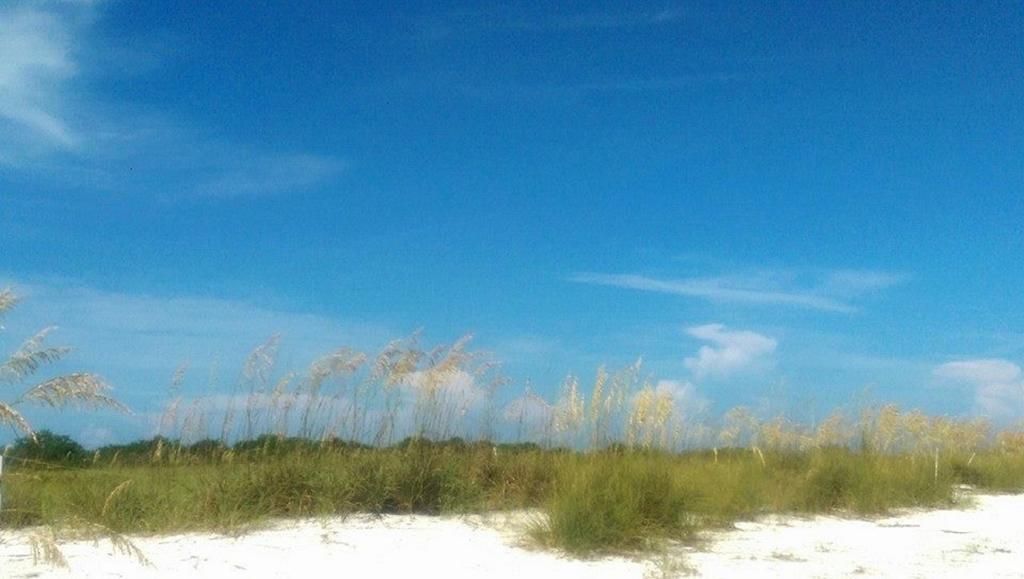 Pag Beachhouse Rentals St. Pete Beach Esterno foto
