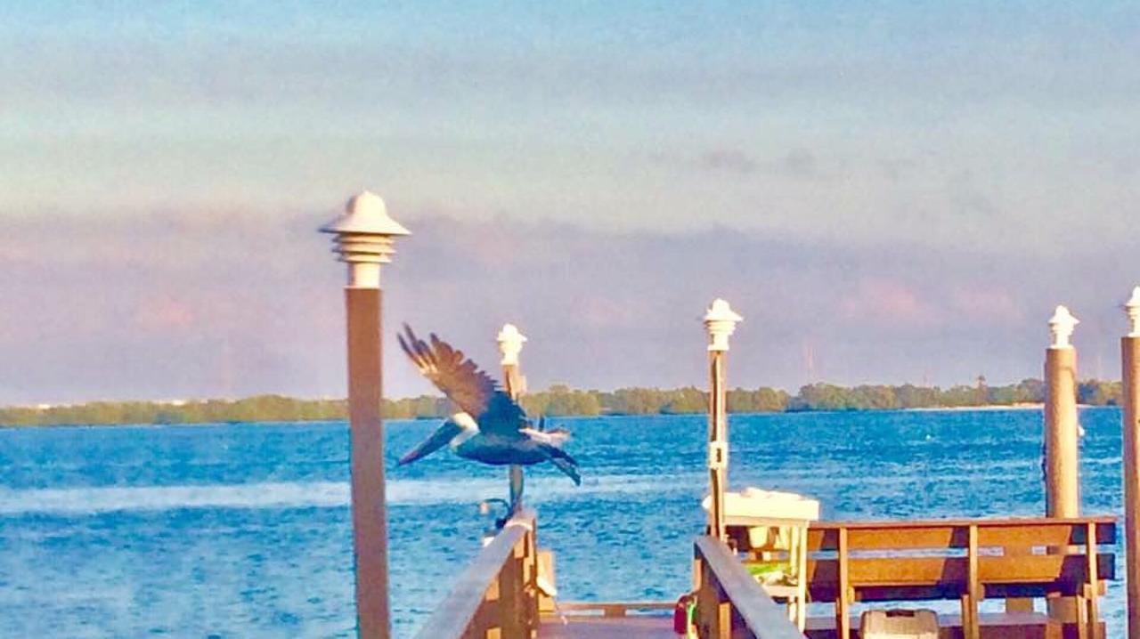 Pag Beachhouse Rentals St. Pete Beach Esterno foto