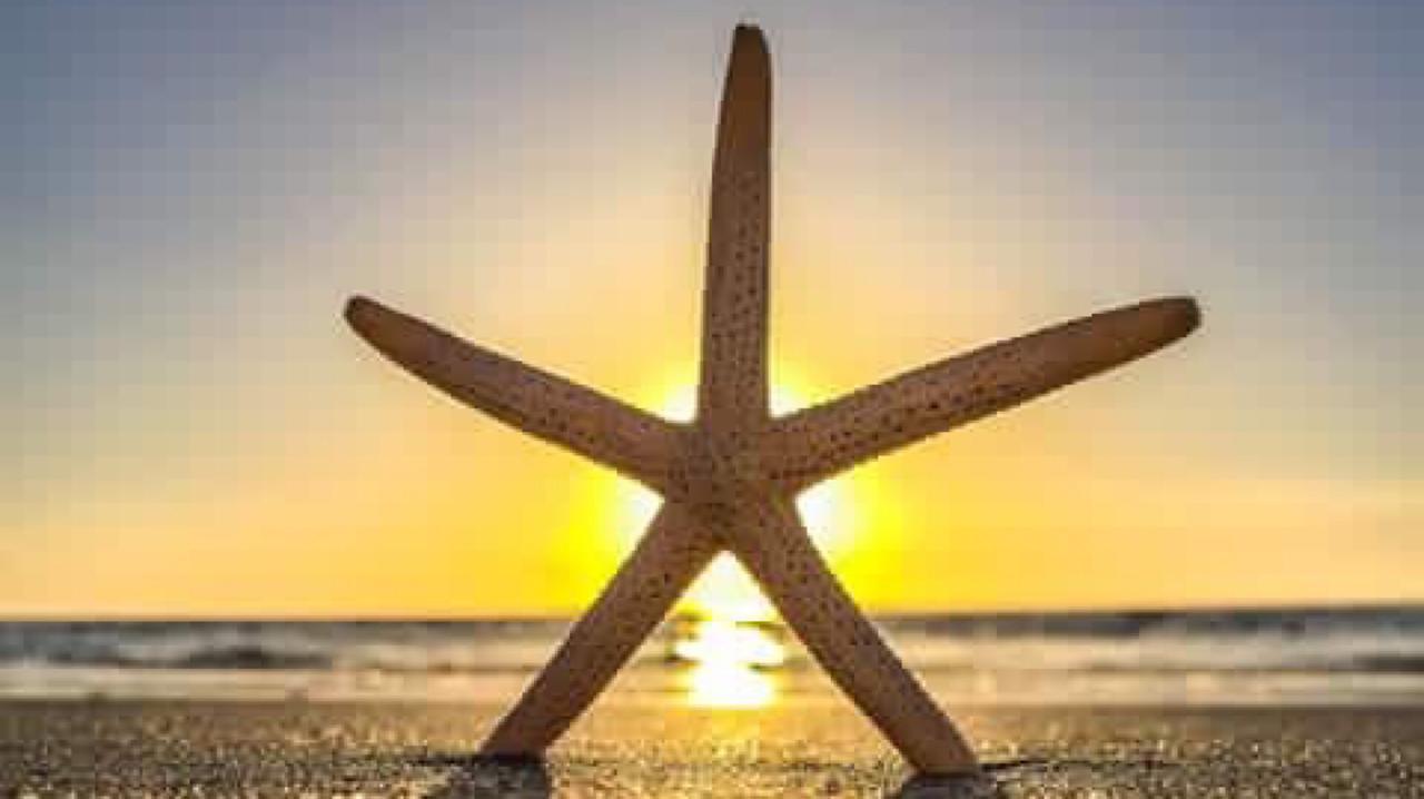 Pag Beachhouse Rentals St. Pete Beach Esterno foto